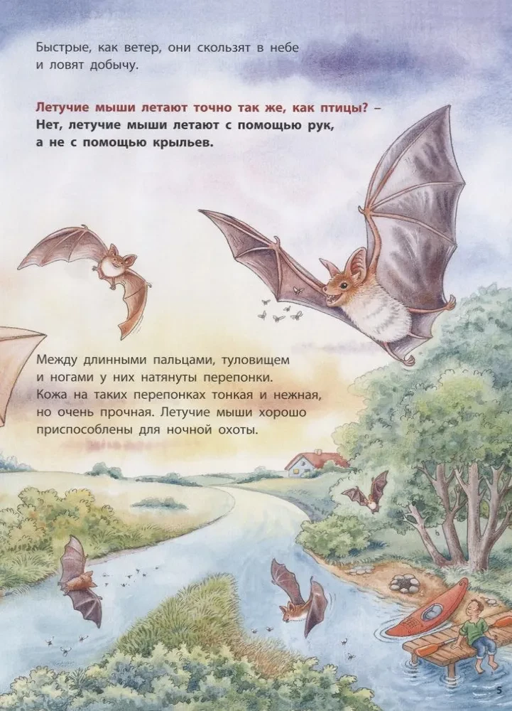 Kur lido sikspārnis? Izglītojošas stāsti