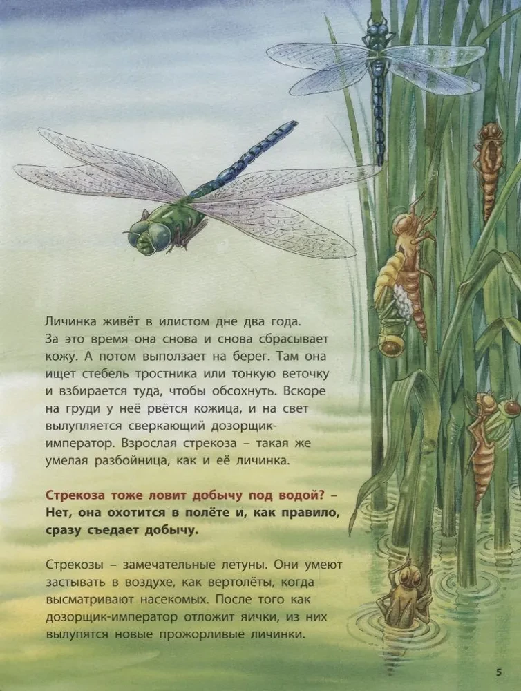 Varde un viņas kaimiņi. Izglītojošas stāsti