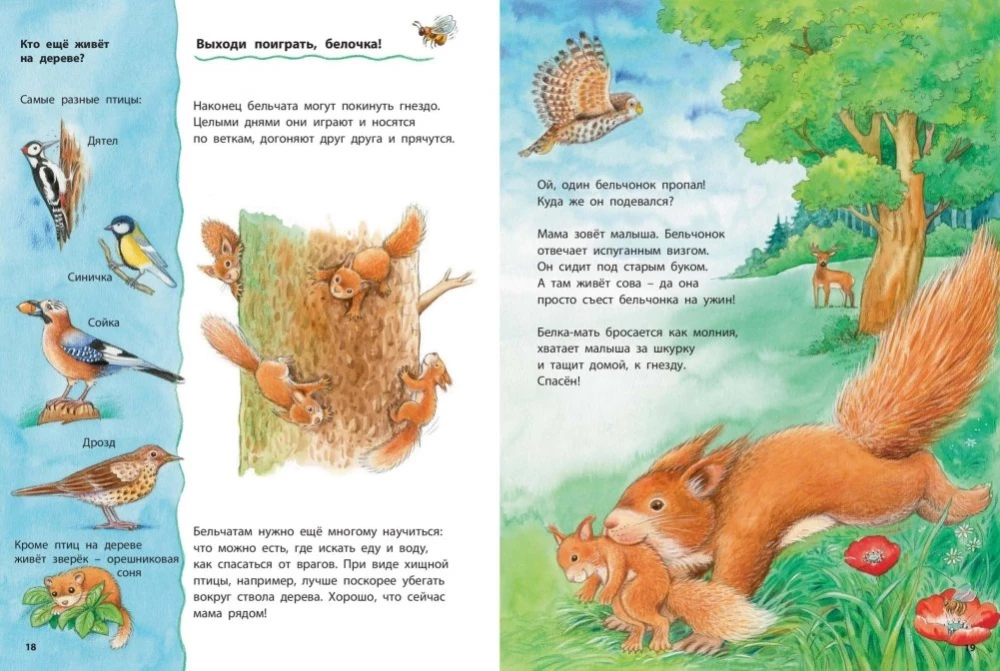 Wie das Eichhörnchen lebt. Lehrenreiche Geschichten