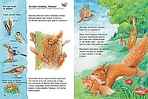 Wie das Eichhörnchen lebt. Lehrenreiche Geschichten