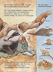 Loomad-ehitajad. Õppivad lood