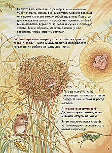 Loomad-ehitajad. Õppivad lood