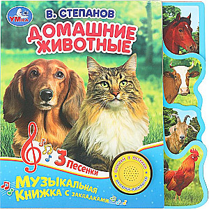 Zwierzęta domowe