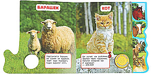 Zwierzęta domowe