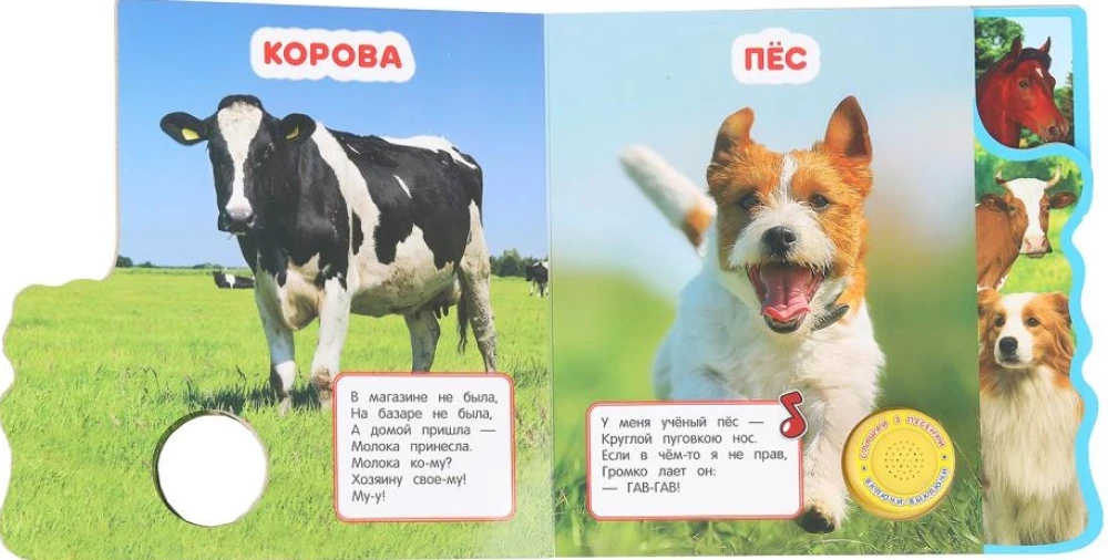 Zwierzęta domowe