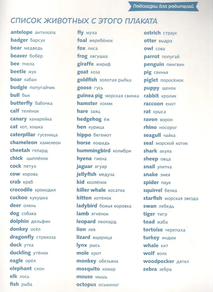 100 anglų žodžių: lengvai įsiminsiu. Gyvūnai (dvipusis plakatas-schema)