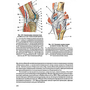 Human Anatomy for Pediatricians. Volume 2