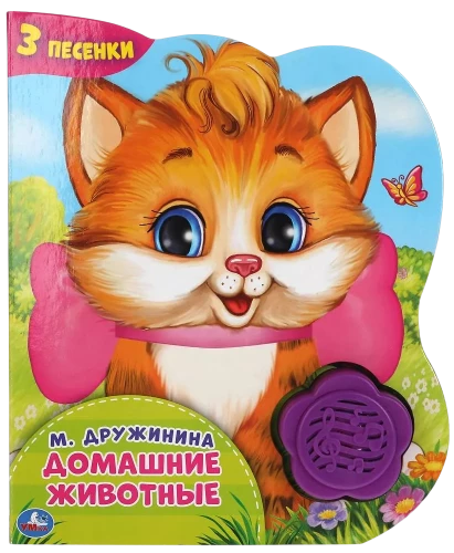 Namų gyvūnai