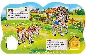 Zwierzęta domowe