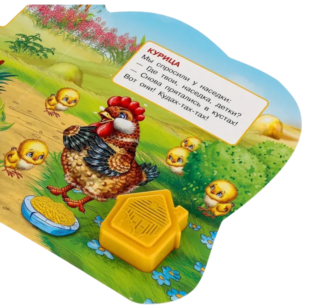 Zwierzęta domowe