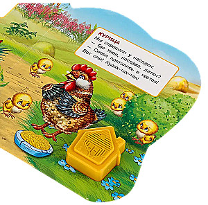 Zwierzęta domowe