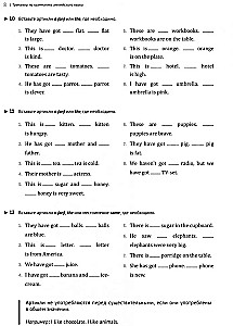 Grammatiktrainer Englisch. 2-5 Klassen