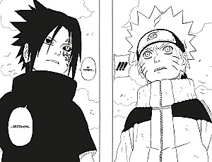 Naruto. Raamat 9. Päev, mil nende teed lahknevad