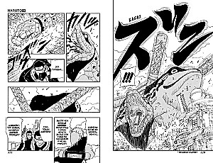 Naruto. Raamat 5. Katkestatud eksam