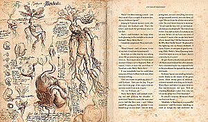 Harry Potter and the Chamber of Secrets