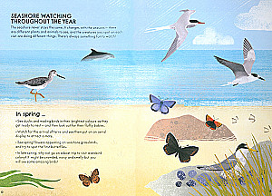 RSPB Naturführer: Küste