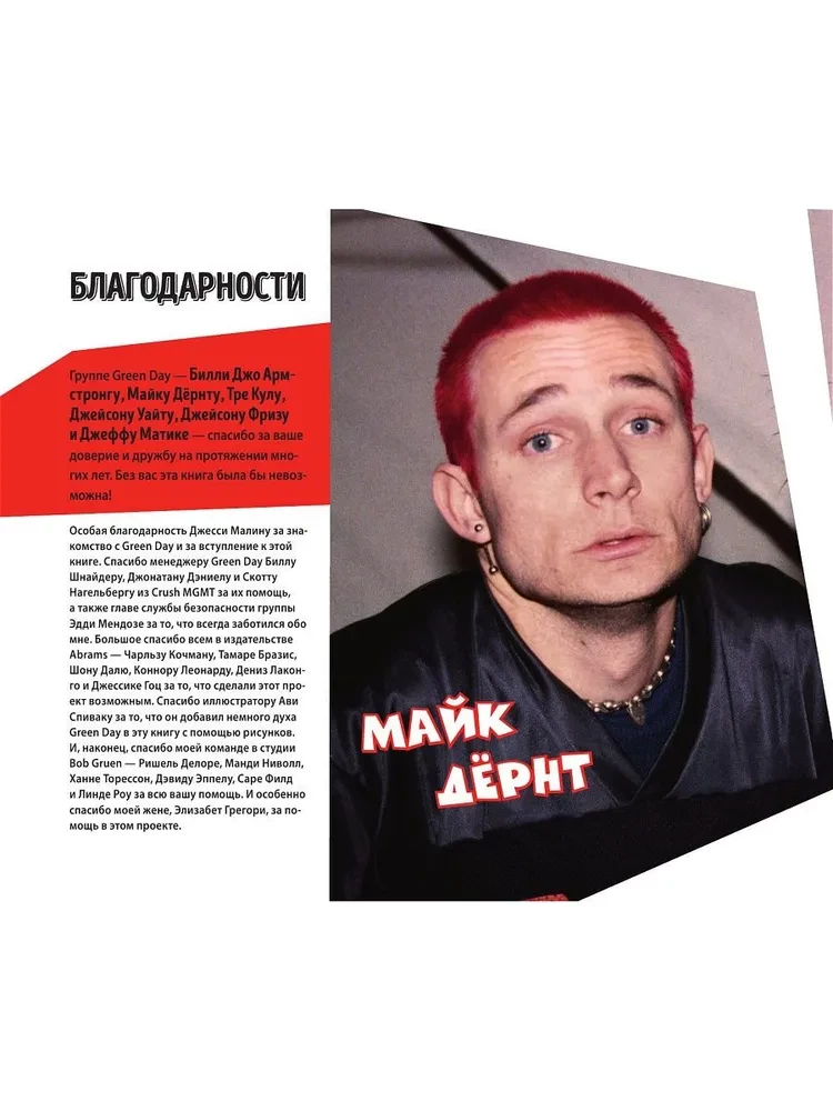 Green Day. Fotokogumik ansambli liikmete kommentaaridega