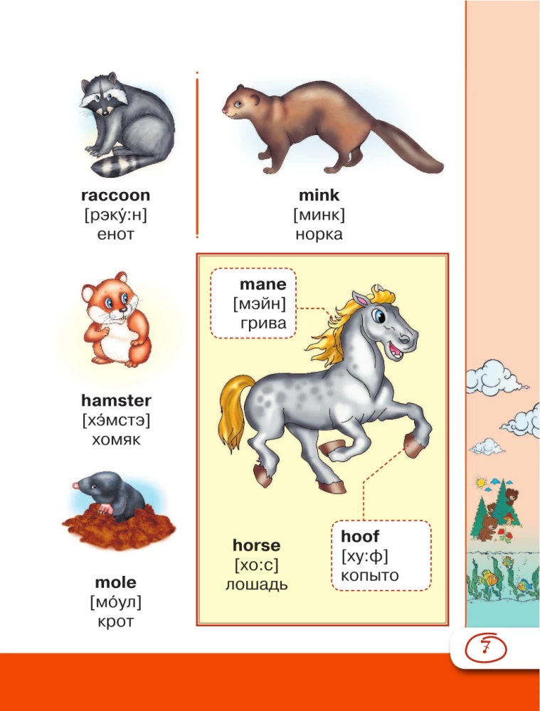Angļu vizuālais vārdnīca ar izrunu