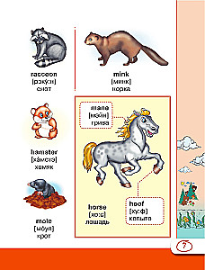 Angļu vizuālais vārdnīca ar izrunu