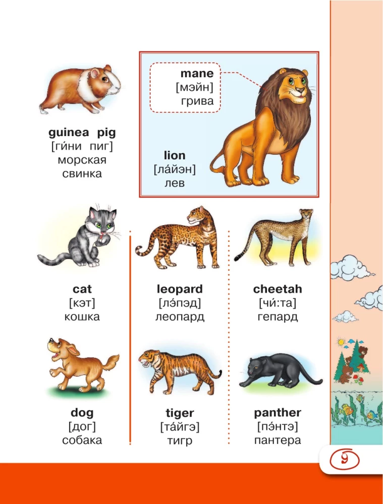 English Visual Dictionary with Pronunciation