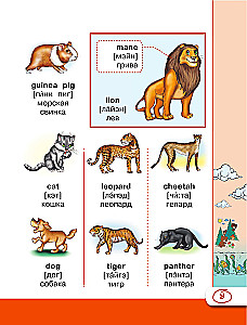 English Visual Dictionary with Pronunciation