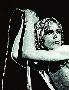 Til Wrong Feels Right. Iggy Pop: ainus ja kordumatu