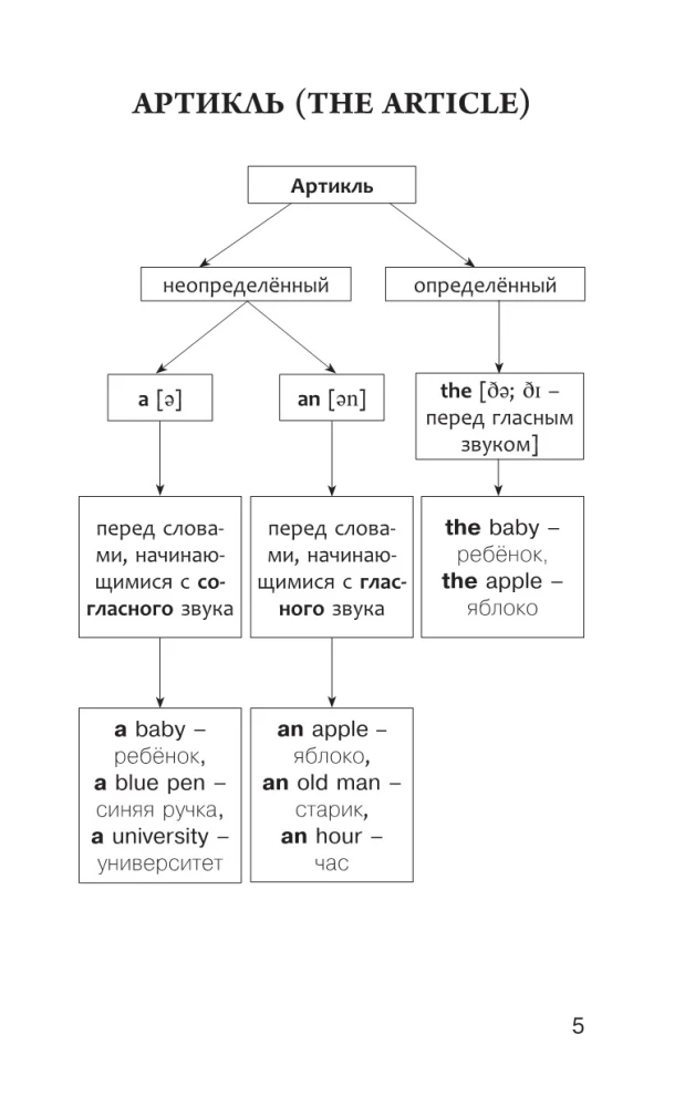 Język angielski dla uczniów. Cała gramatyka na 5