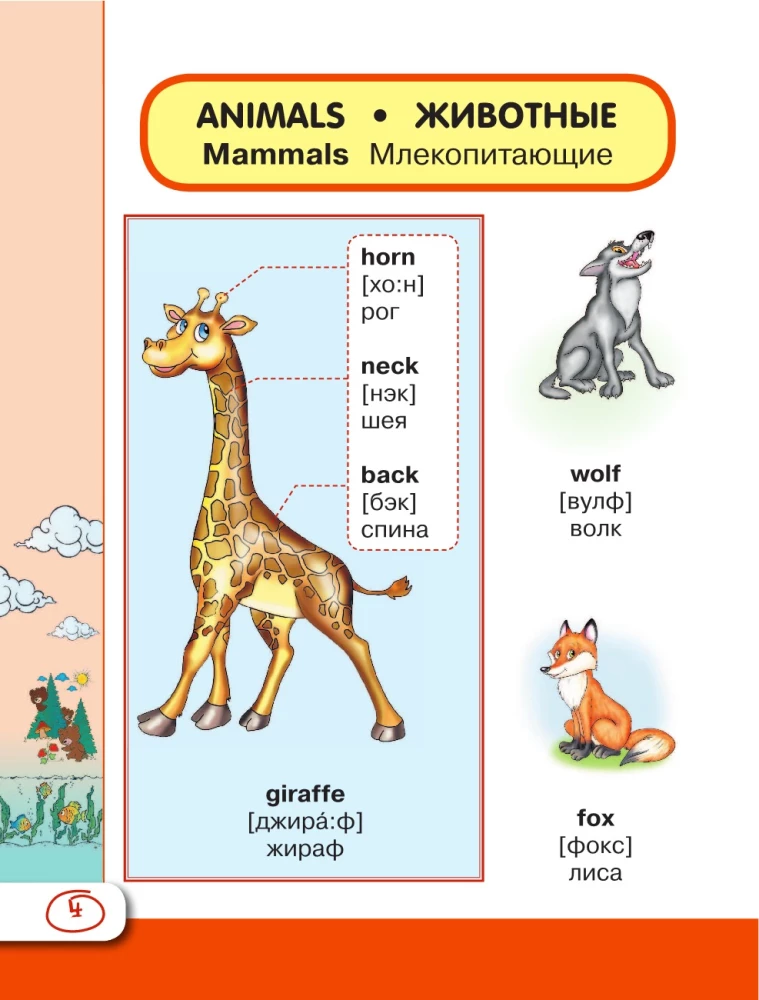 Englisches visuelles Wörterbuch mit Aussprache