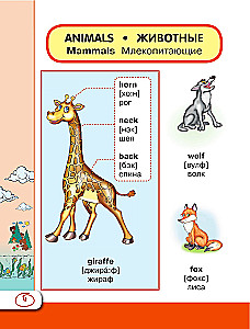 Englisches visuelles Wörterbuch mit Aussprache