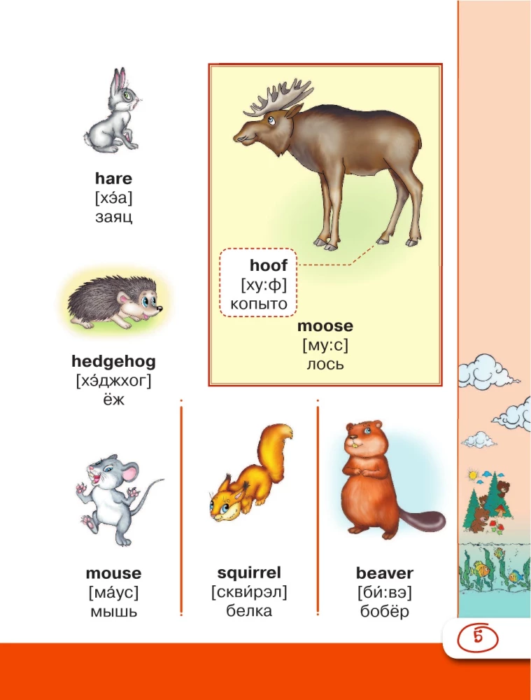 Englisches visuelles Wörterbuch mit Aussprache