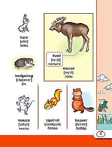 Englisches visuelles Wörterbuch mit Aussprache
