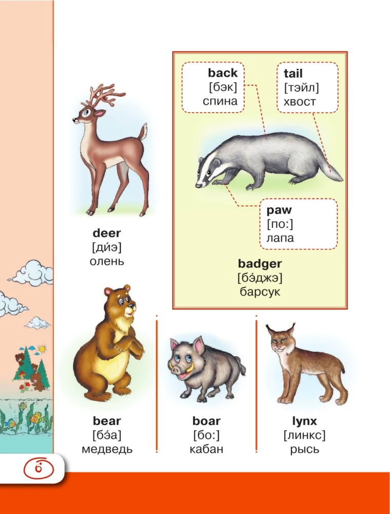 Englisches visuelles Wörterbuch mit Aussprache