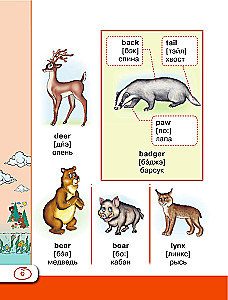 Englisches visuelles Wörterbuch mit Aussprache