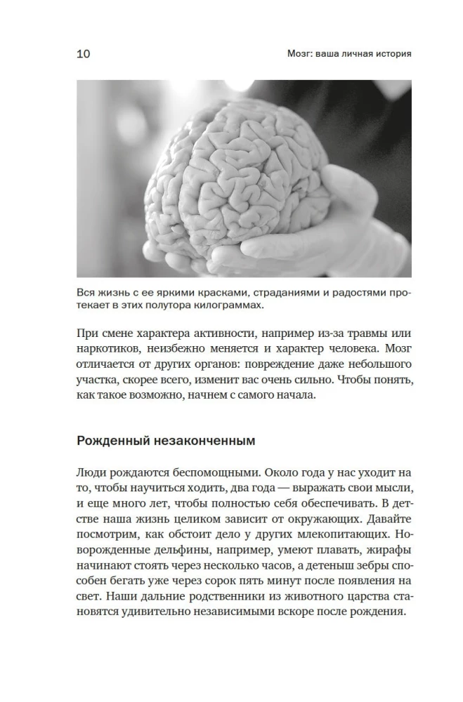Мозг: ваша личная история