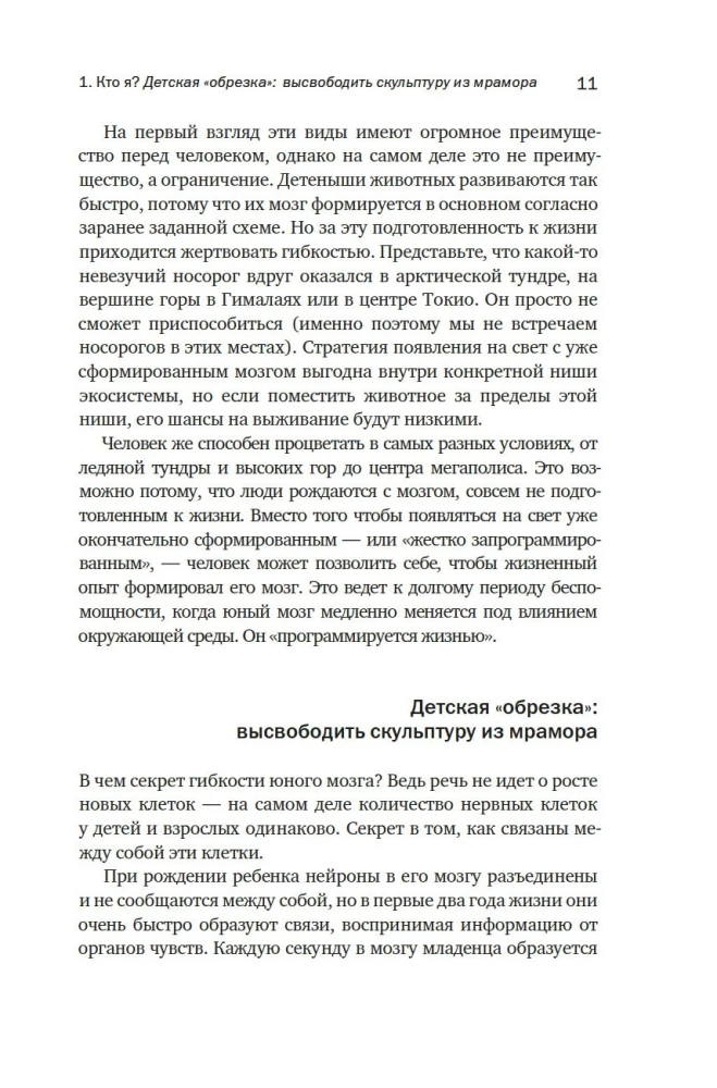 Мозг: ваша личная история