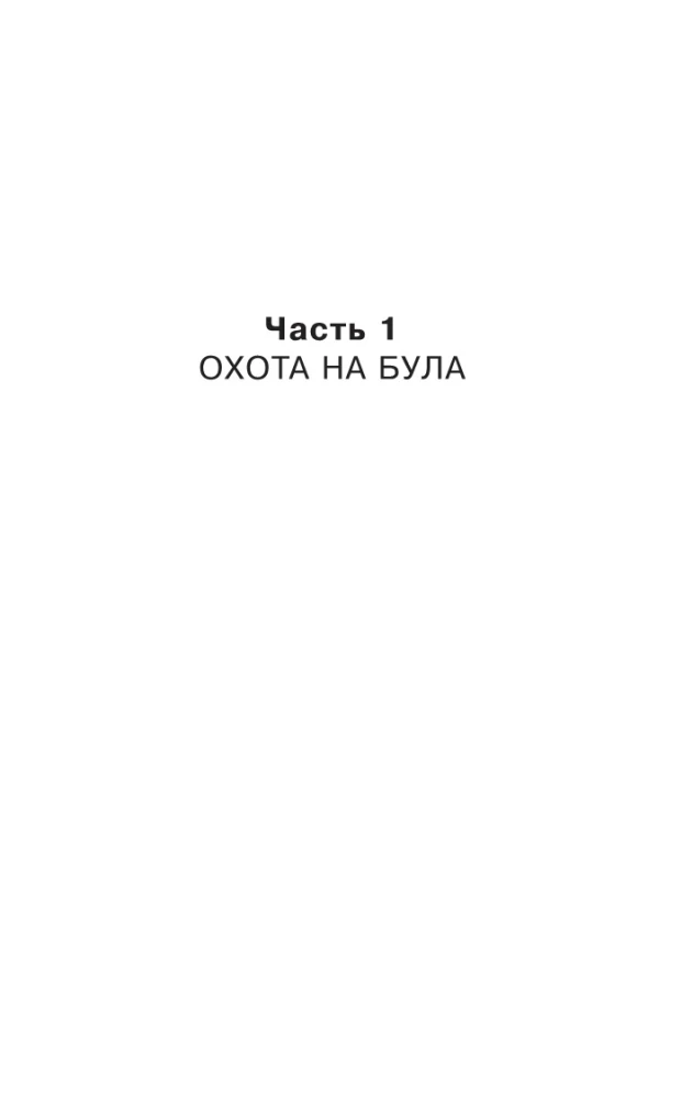 Lizės istorija