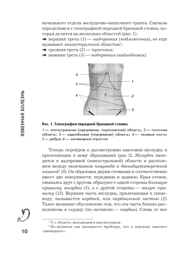Язвенная болезнь. Факторы риска, симптомы, лечение и диета