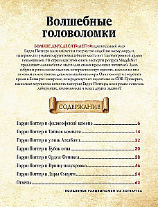Kouzeliniai galvosūkiai iš Hogvorts