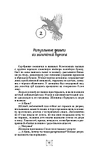 Wings of the Golden Bird. Gocui