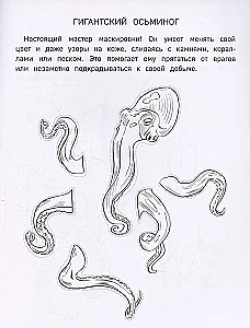 Бумажные морские монстры. Вырежи, раскрась, играй. 12 готовых схем