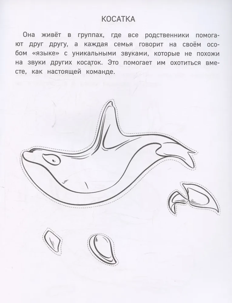 Бумажные морские монстры. Вырежи, раскрась, играй. 12 готовых схем
