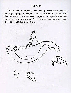 Бумажные морские монстры. Вырежи, раскрась, играй. 12 готовых схем