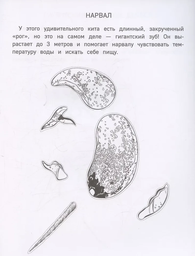 Бумажные морские монстры. Вырежи, раскрась, играй. 12 готовых схем