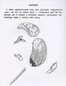 Бумажные морские монстры. Вырежи, раскрась, играй. 12 готовых схем