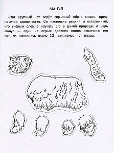 Бумажный зоопарк. Вырежи, раскрась, играй. 12 готовых схем