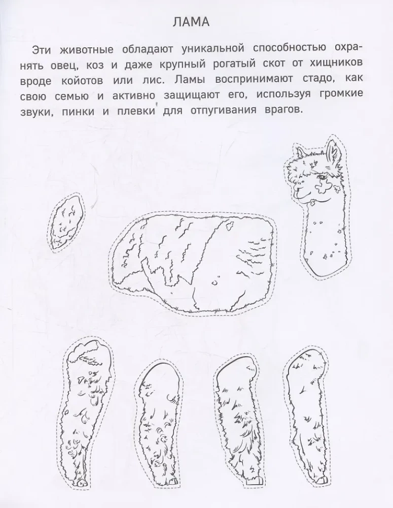 Бумажный зоопарк. Вырежи, раскрась, играй. 12 готовых схем