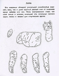 Бумажный зоопарк. Вырежи, раскрась, играй. 12 готовых схем