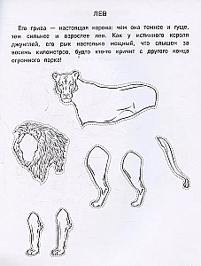 Бумажный зоопарк. Вырежи, раскрась, играй. 12 готовых схем