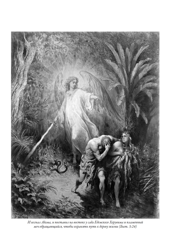 Piibel. Täielik sünodaalne tõlge Gustave DoréIllustratsioonidega